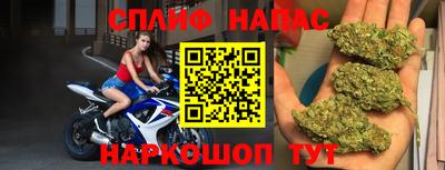 молекула духа Будённовск