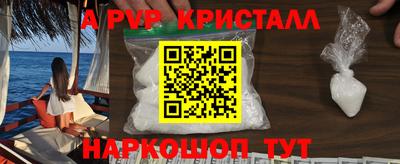 молекула духа Будённовск