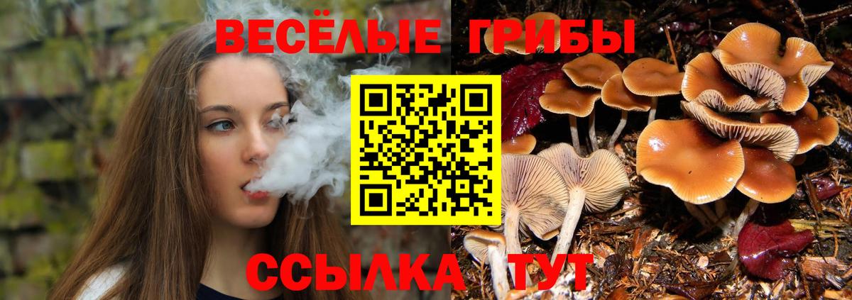Псилоцибиновые грибы ЛСД Соликамск